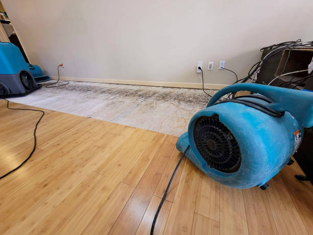 Professional Water Removal technician working in Jensen Beach, FL